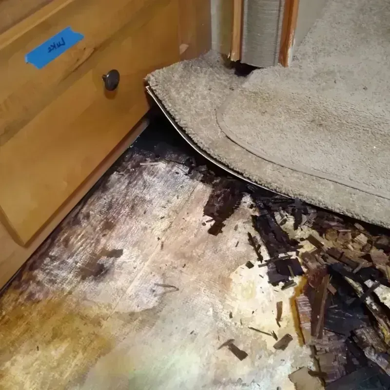 Wood Floor Water Damage in Drain, OR